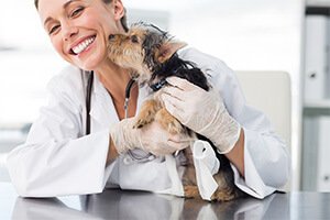 S.O.S Vet - cabinet veterinar